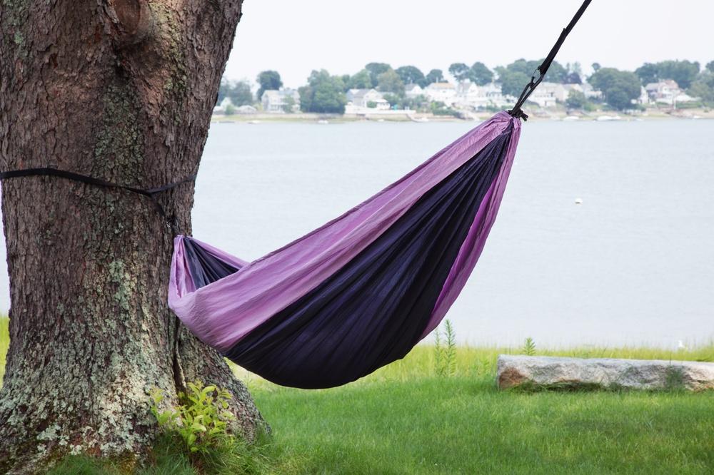 purple tree hammock