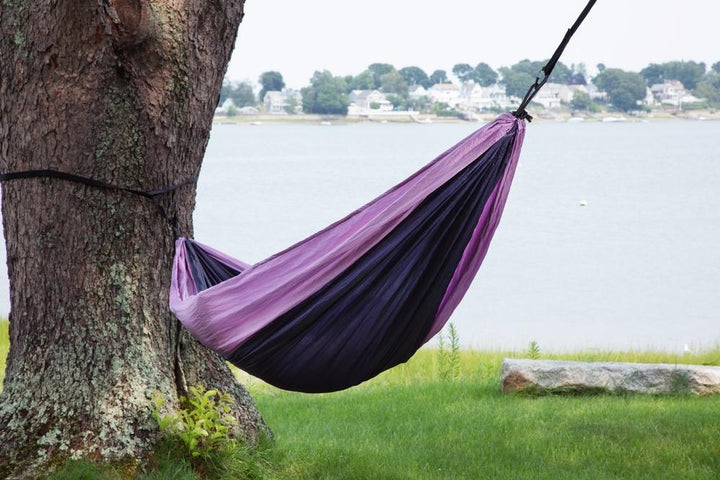 purple tree hammock