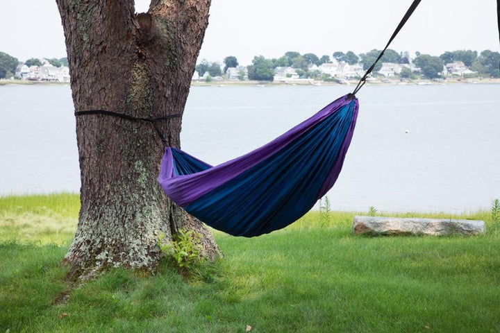 purple hammock