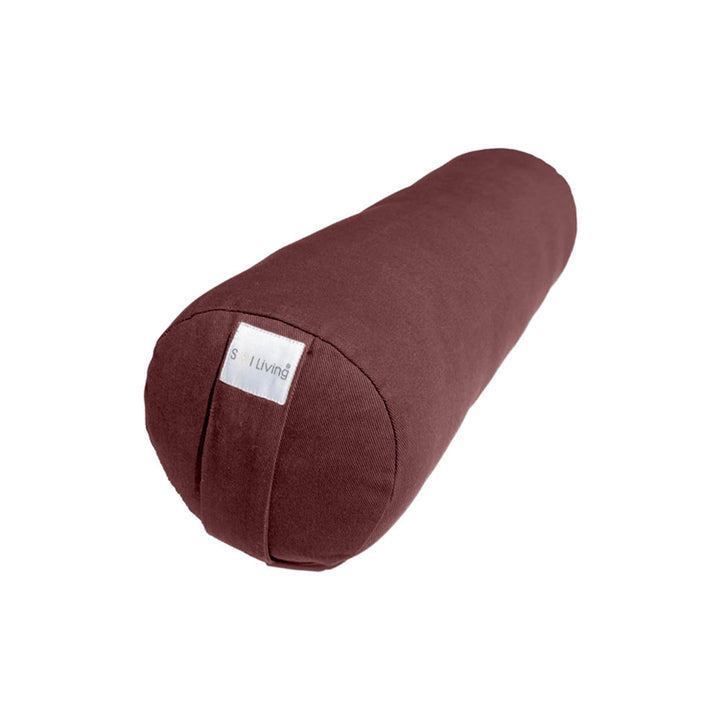 physical therapy bolster